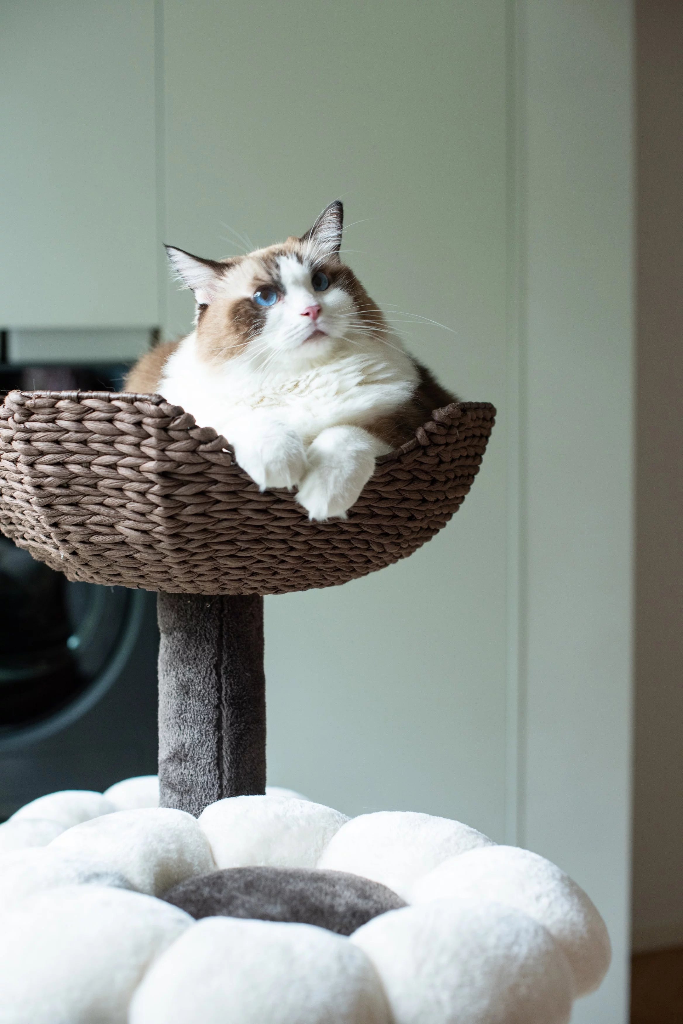 Catry 59" Natural Blossom Cat Tree 6-Level Cat Tower with Hammock T18613