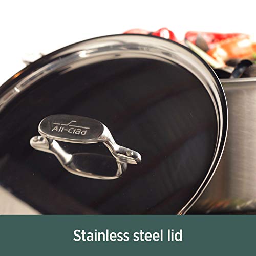 All-Clad D5 5-Ply Stainless Steel Sauce Pan 3 Quart F1637