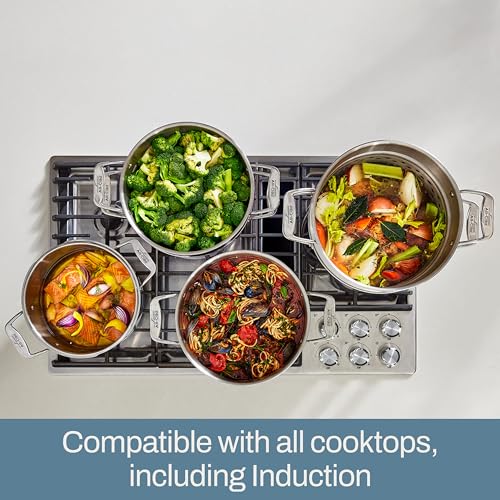 All-Clad Simply Strain Stainless Steel Multipot with Straining Lid, 6-Quart M19799