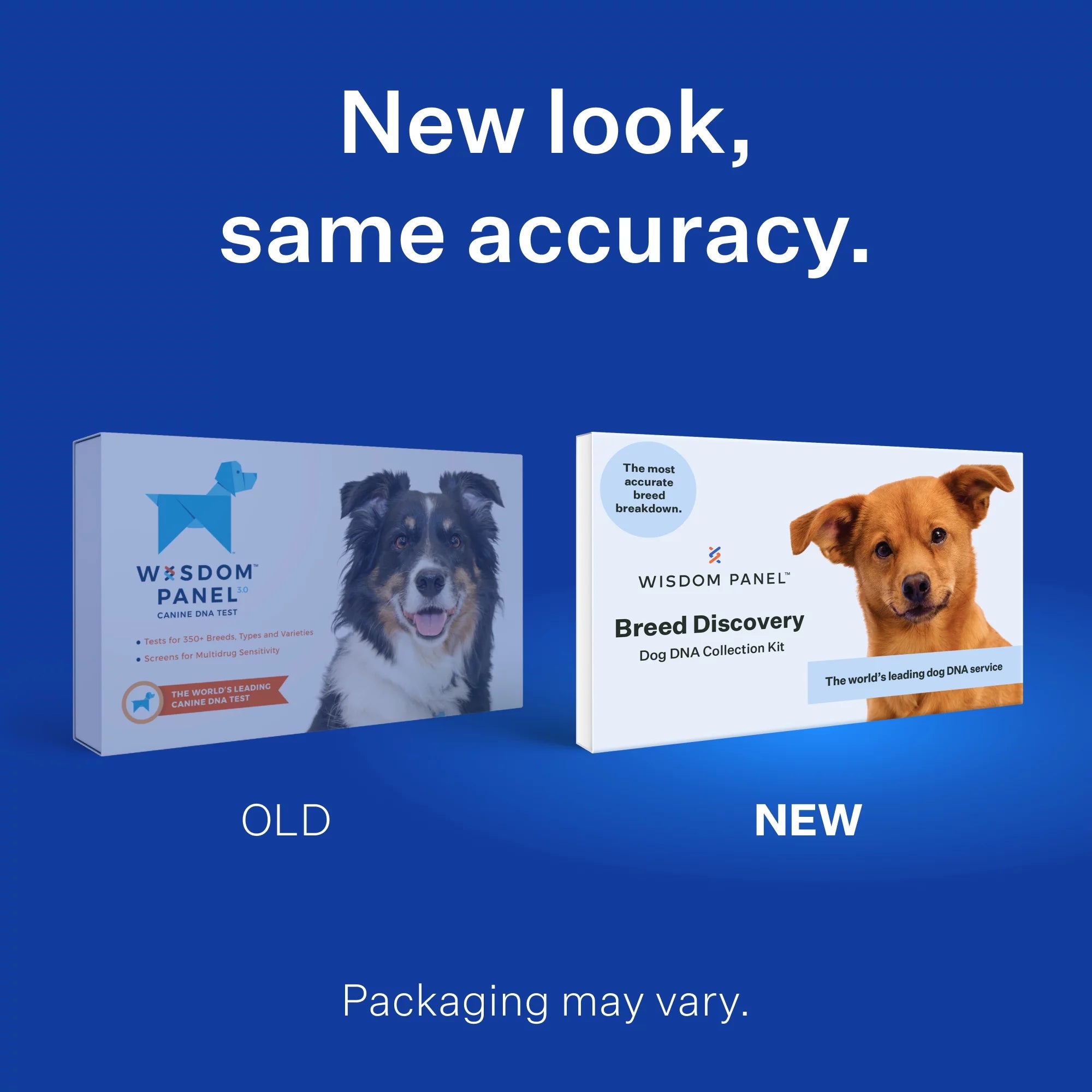Wisdom Panel Dog DNA Test Kit L763