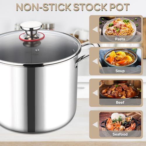 LIANYU 10 Quart Stock Pot with Lid, Stainless Steel Tri-Ply D8155