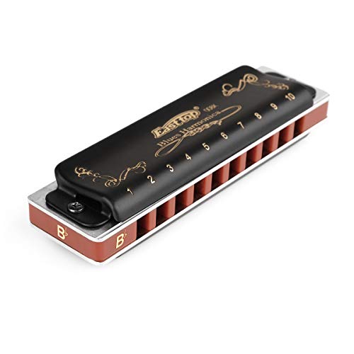 Easttop Professional Harmonica Key of G 10 Hole with Case & Cleaning Cloth N192