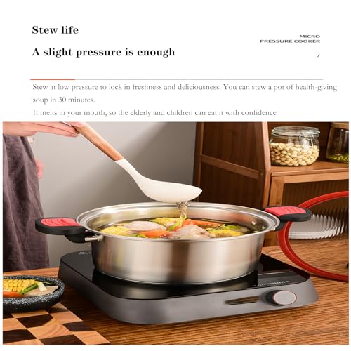 Stainless Steel Pressure Cooker 7.5L for Gas & Induction E66366