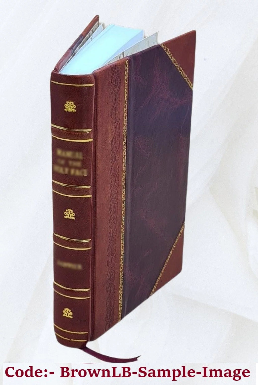 The international Jewish cook book; a modern "kosher" cook book, by Florence Kreisler Greenbaum ... 1600 recipes according to the Jewish dietary laws with the rules for kashering;